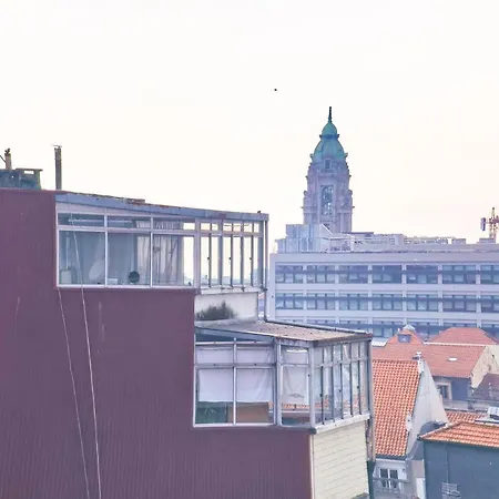 Ninho 424 Porto